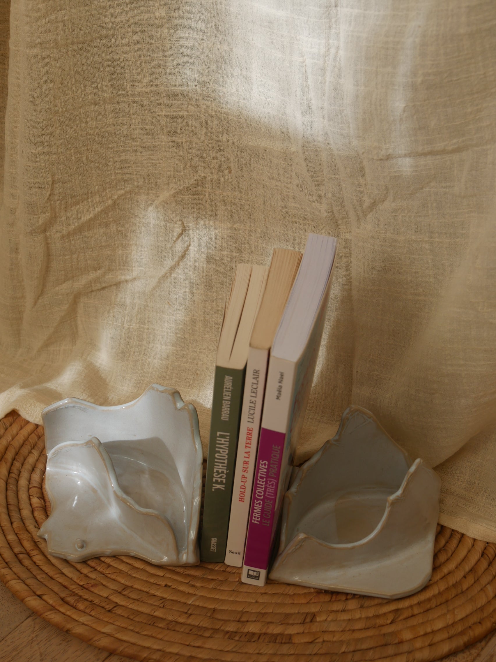 31. Serre Livre - Cirque