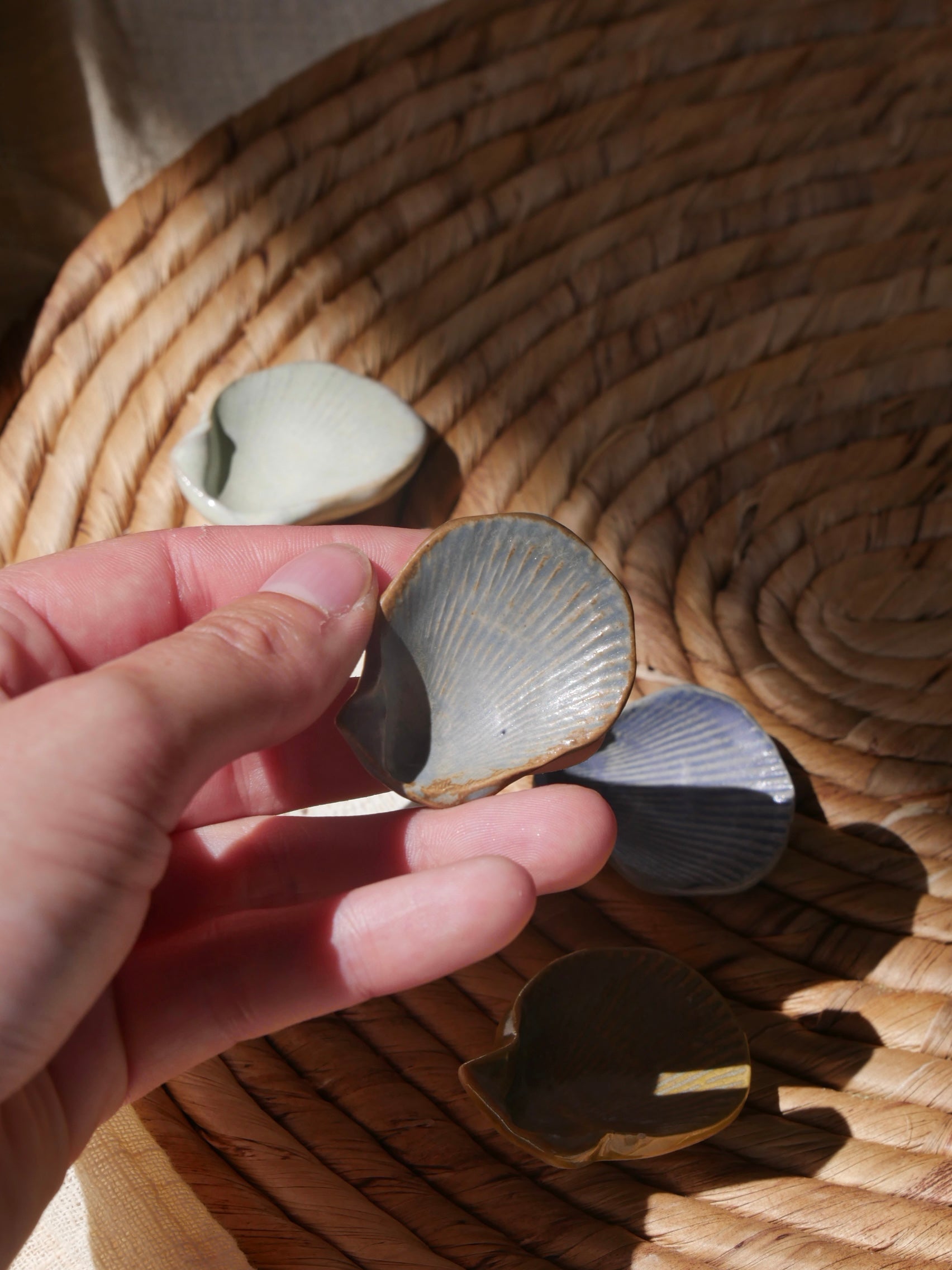 Coquillage Worry