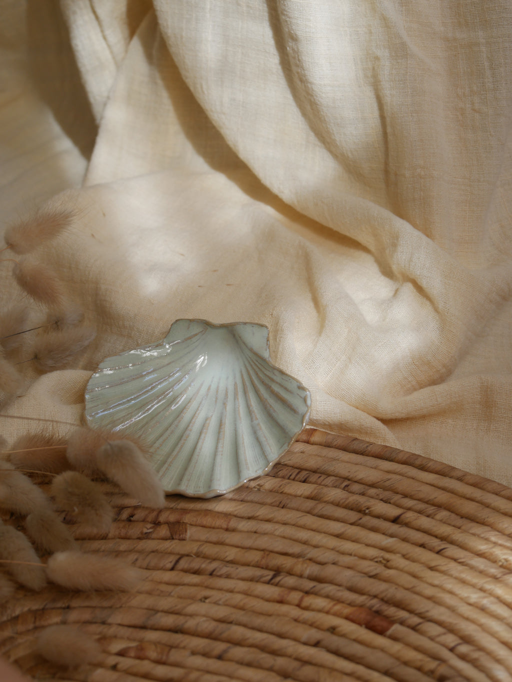 Coquillage Jacques