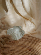 Coquillage Jacques
