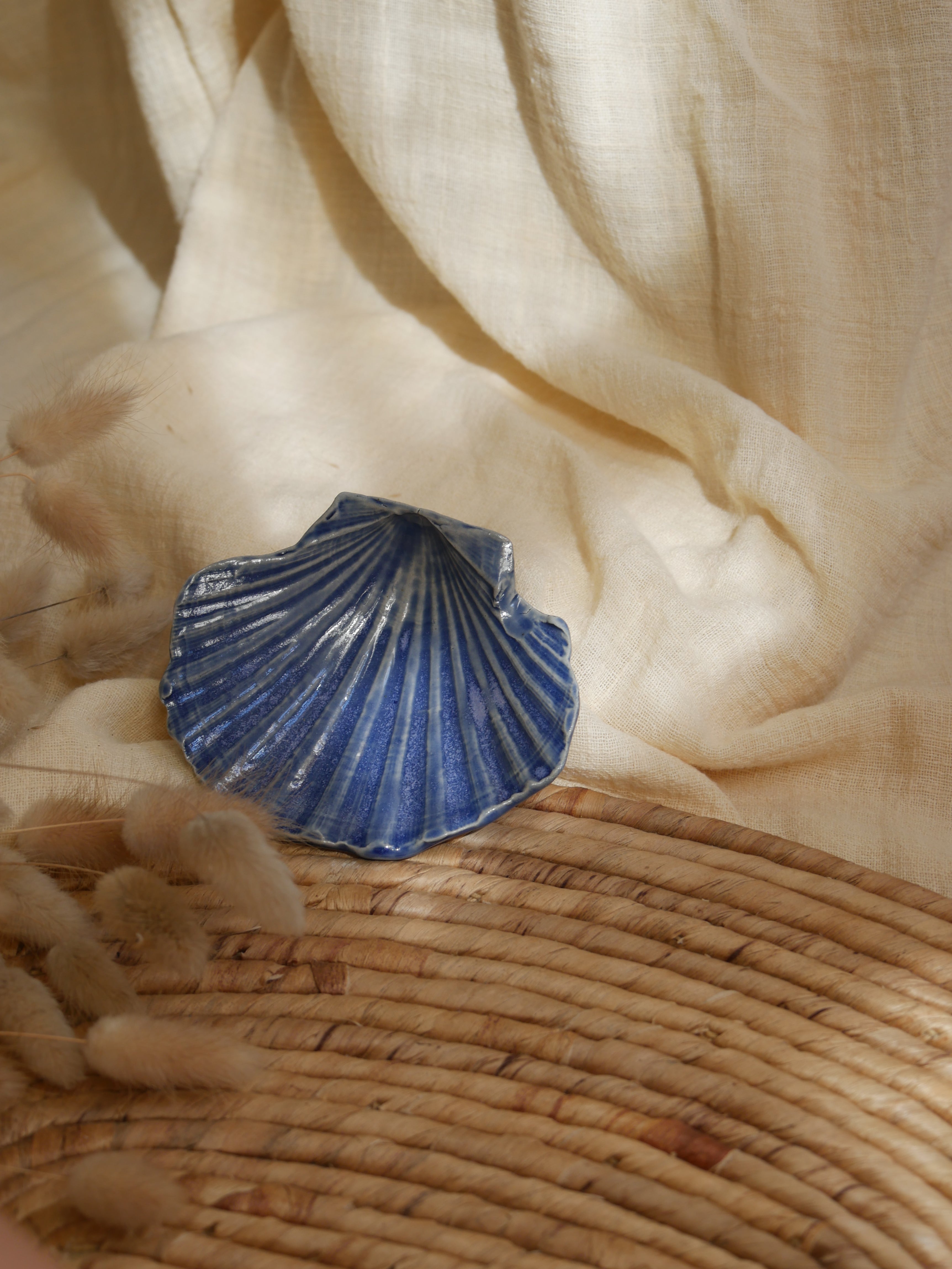 Coquillage Jacques
