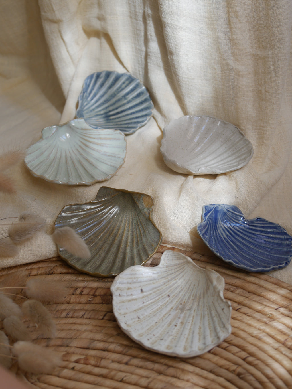 Coquillage Jacques