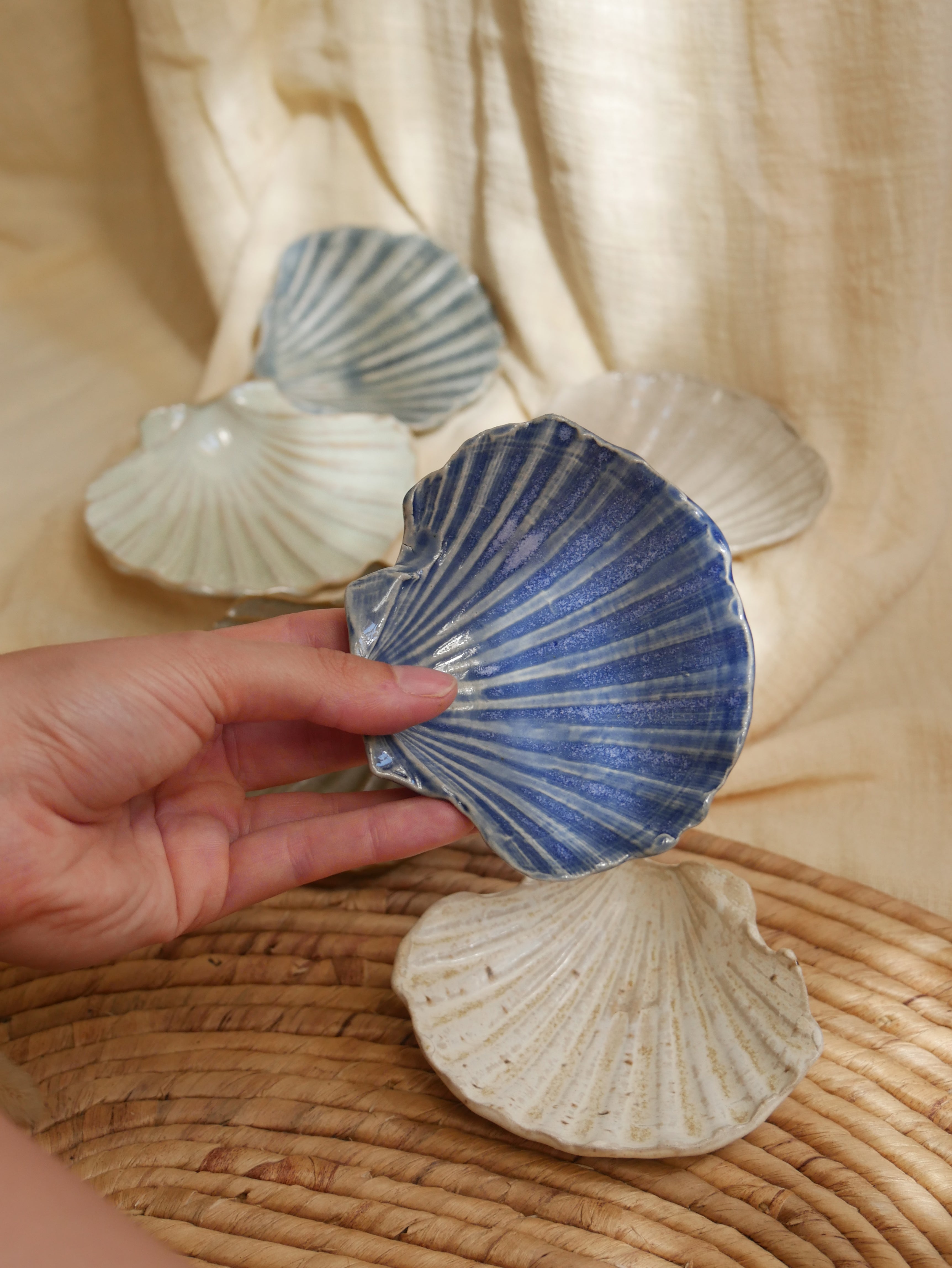 Coquillage Jacques