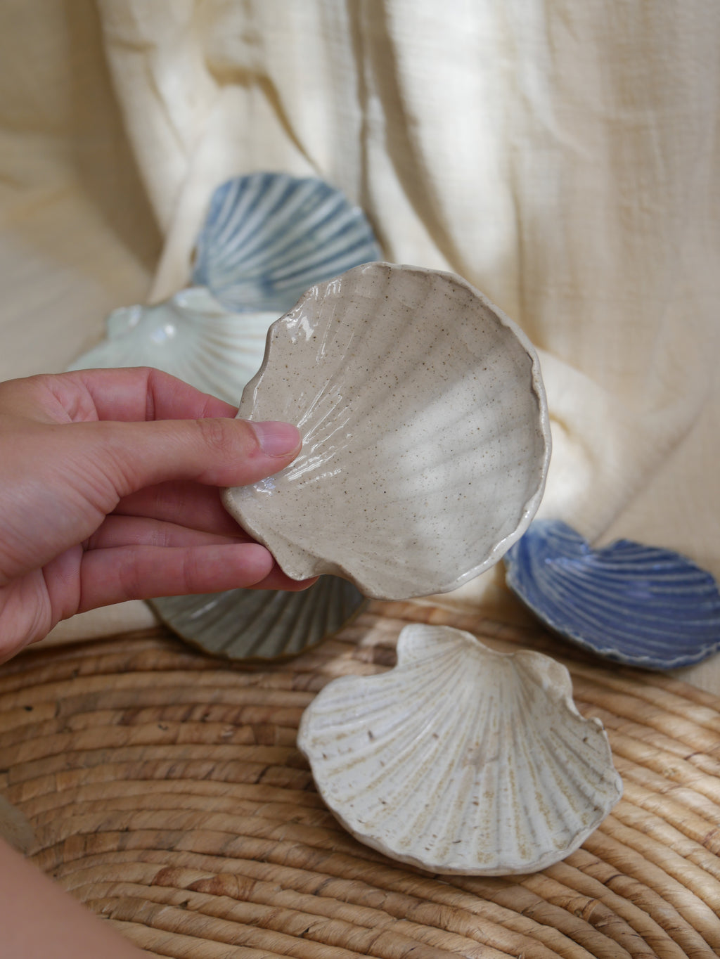 Coquillage Jacques