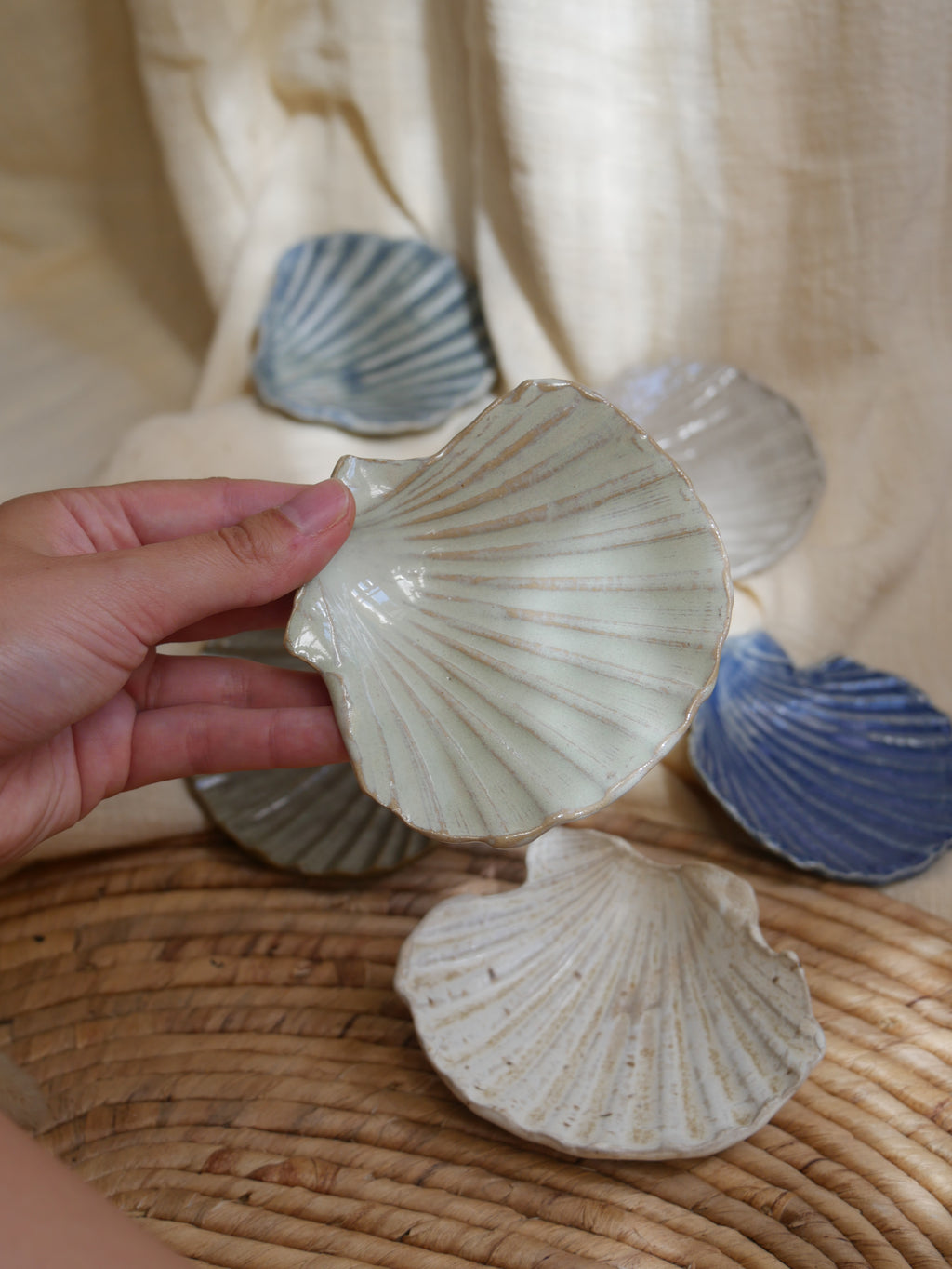 Coquillage Jacques