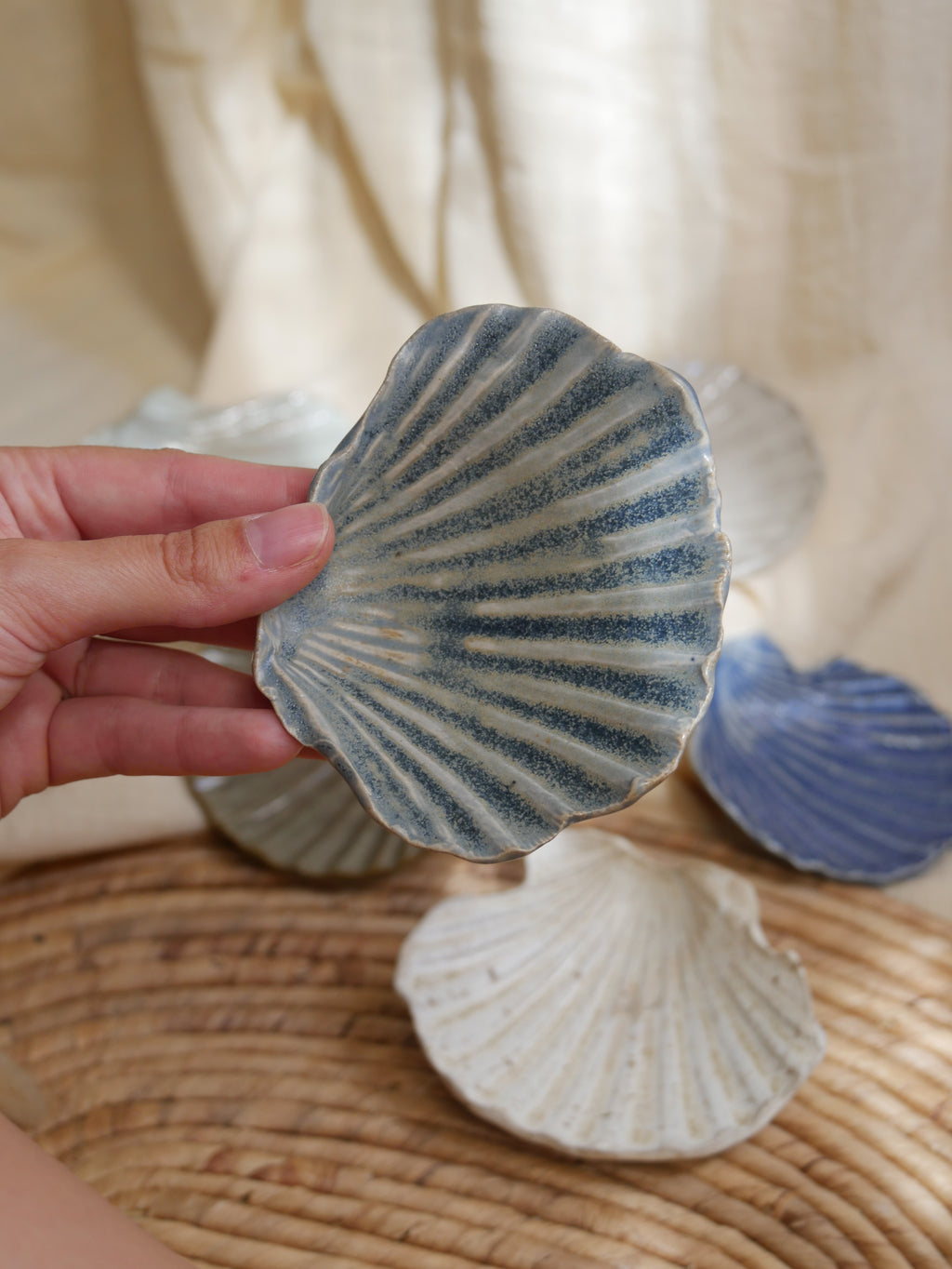 Coquillage Jacques