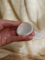 Coquillage Worry