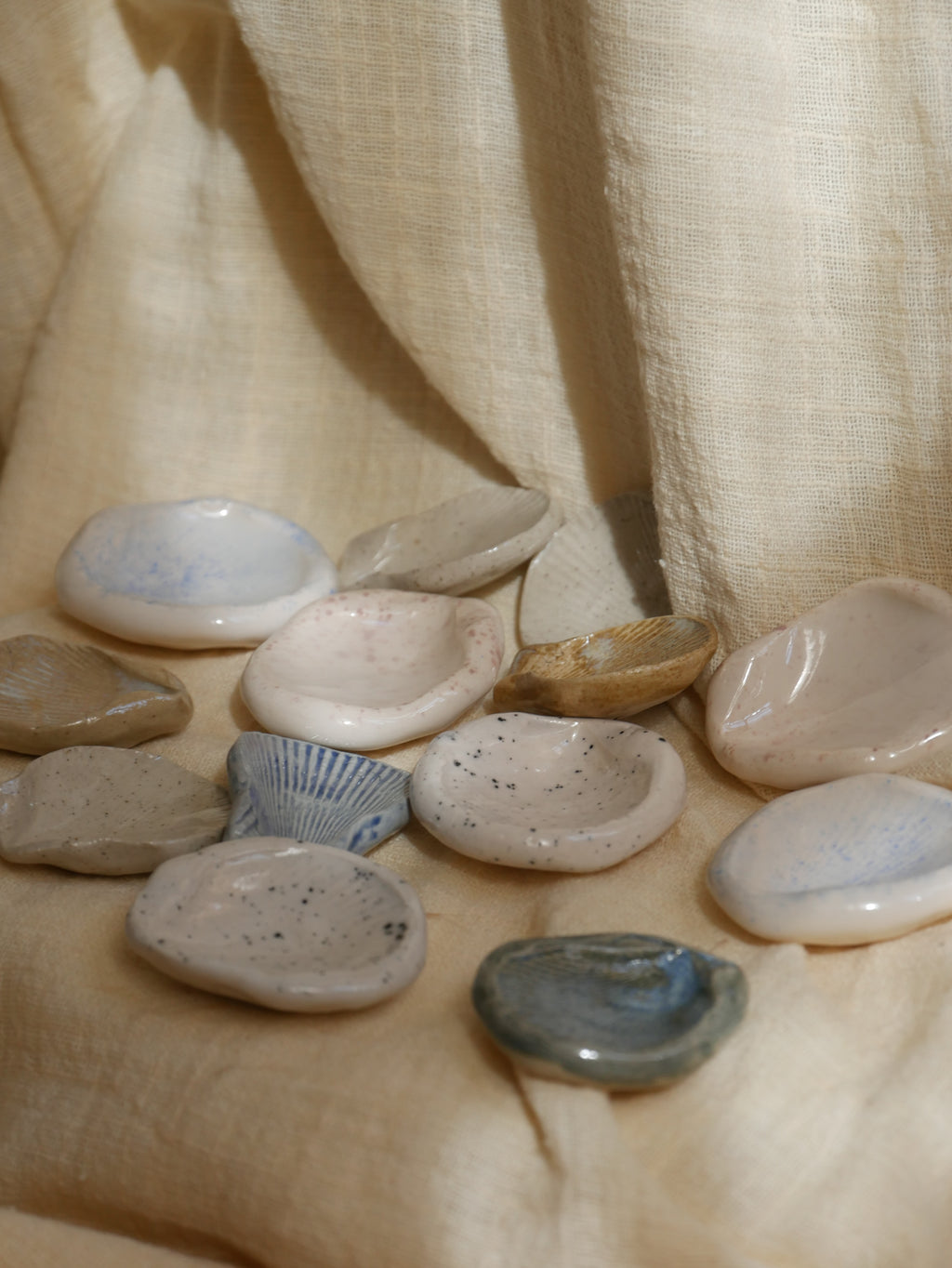 Coquillage Worry