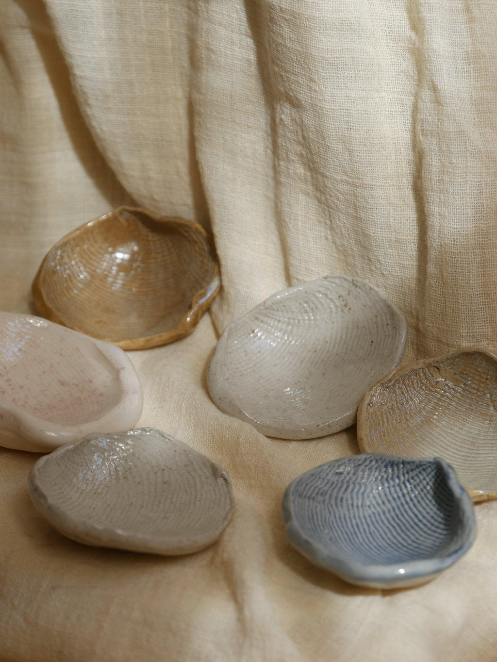 Coquillage Poly