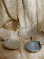 Coquillage Poly