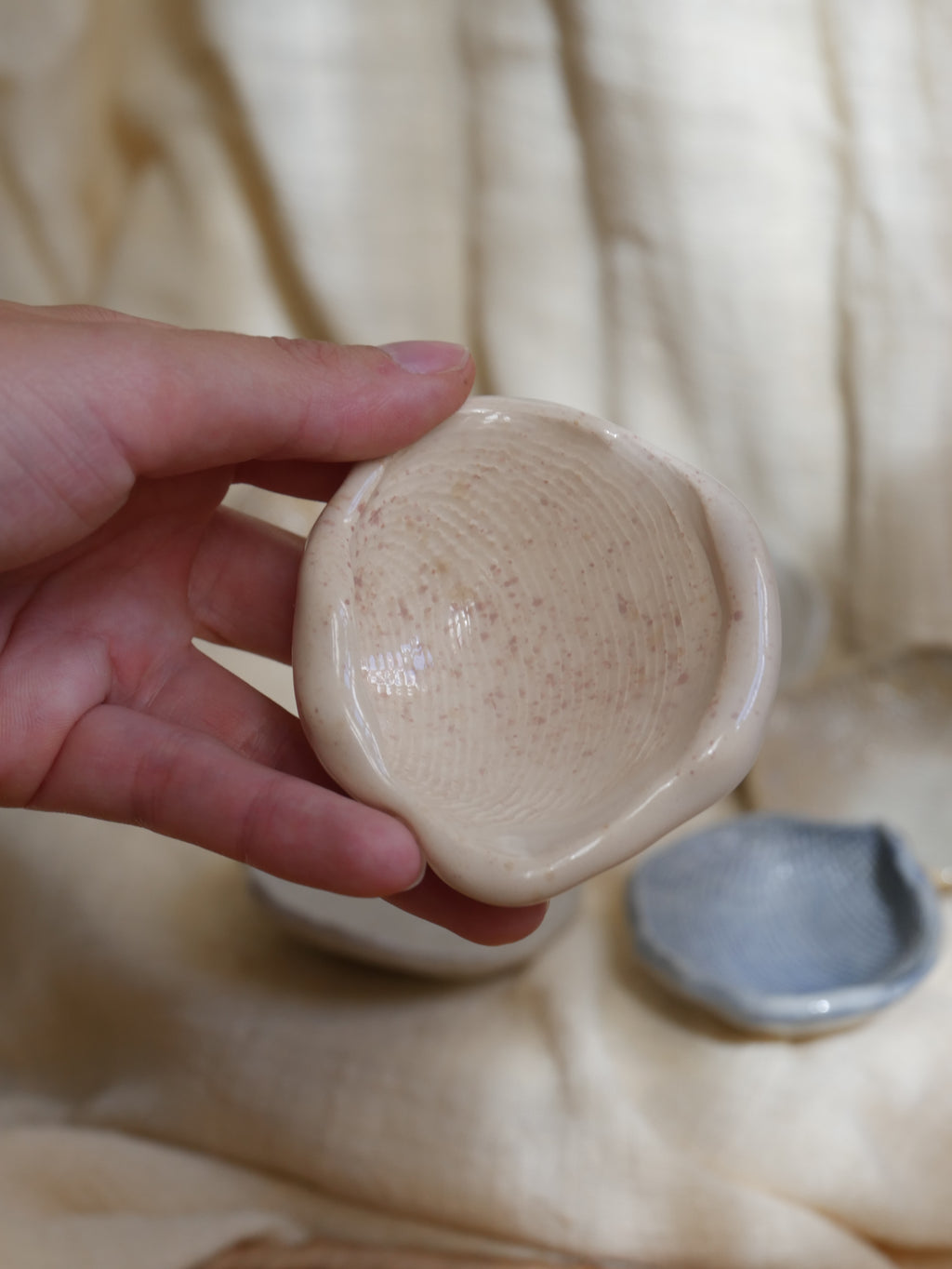 Coquillage Poly