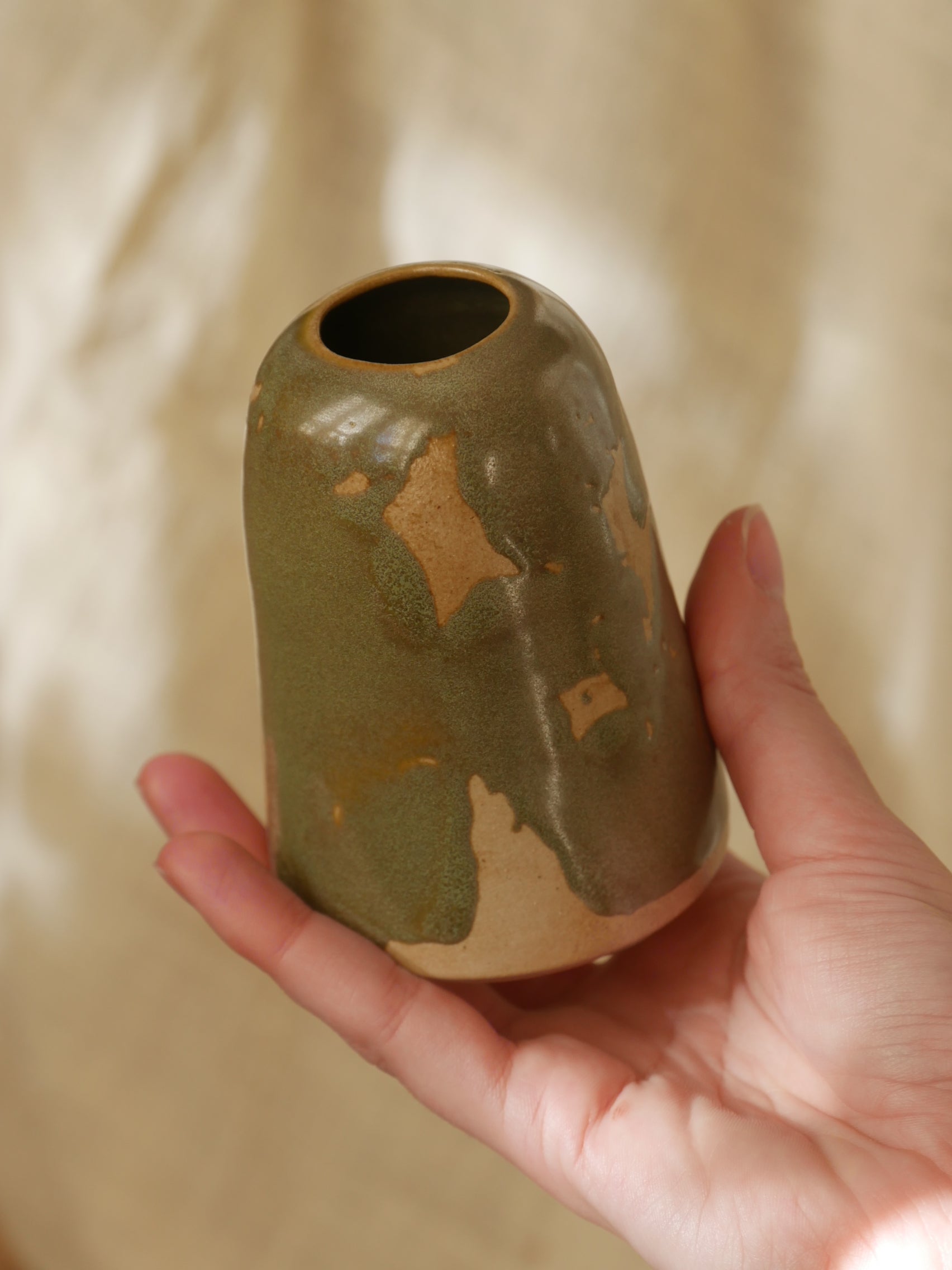 06. Soliflore Kaki - Art