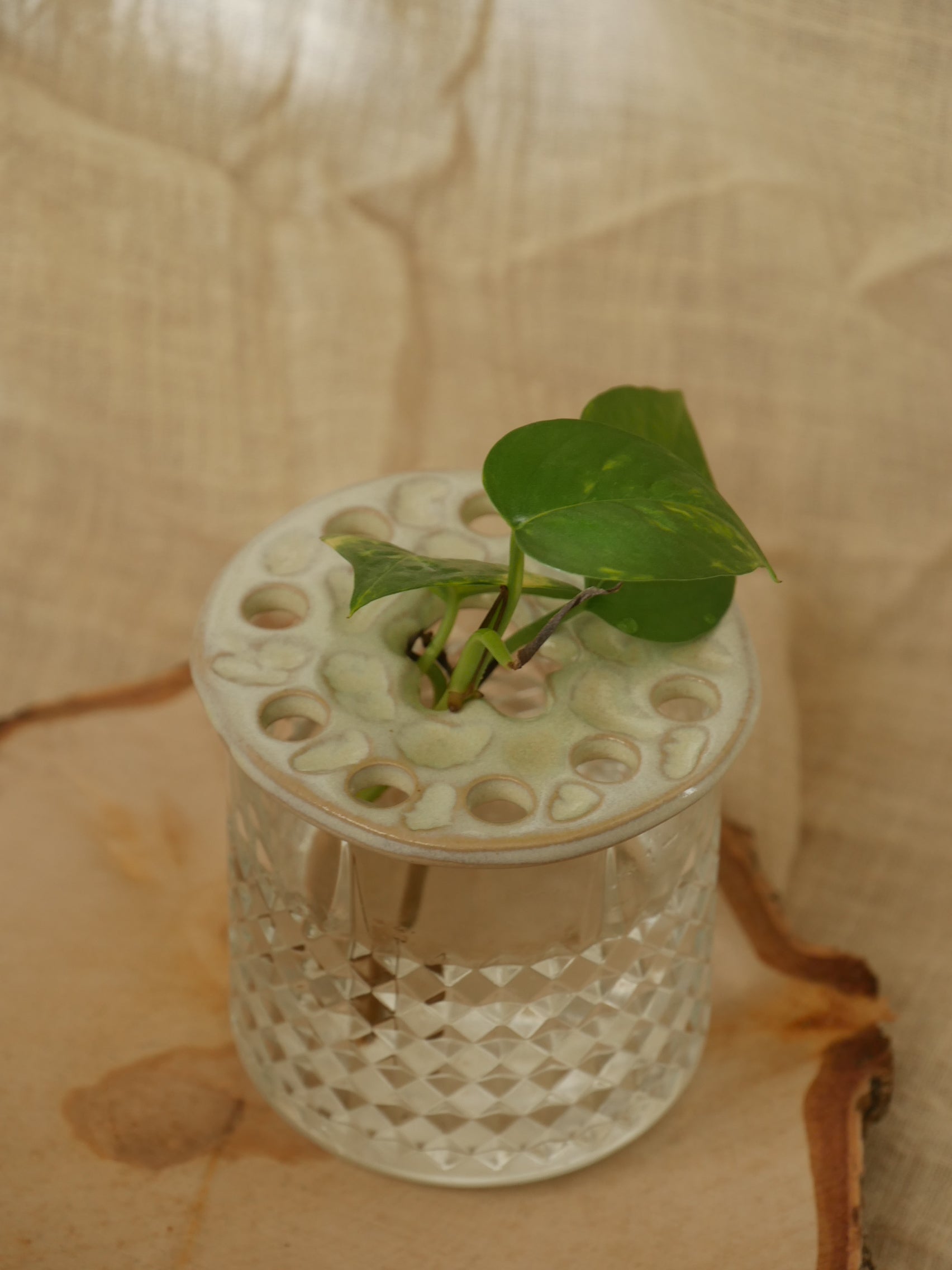 24. Bobèche - Bouton