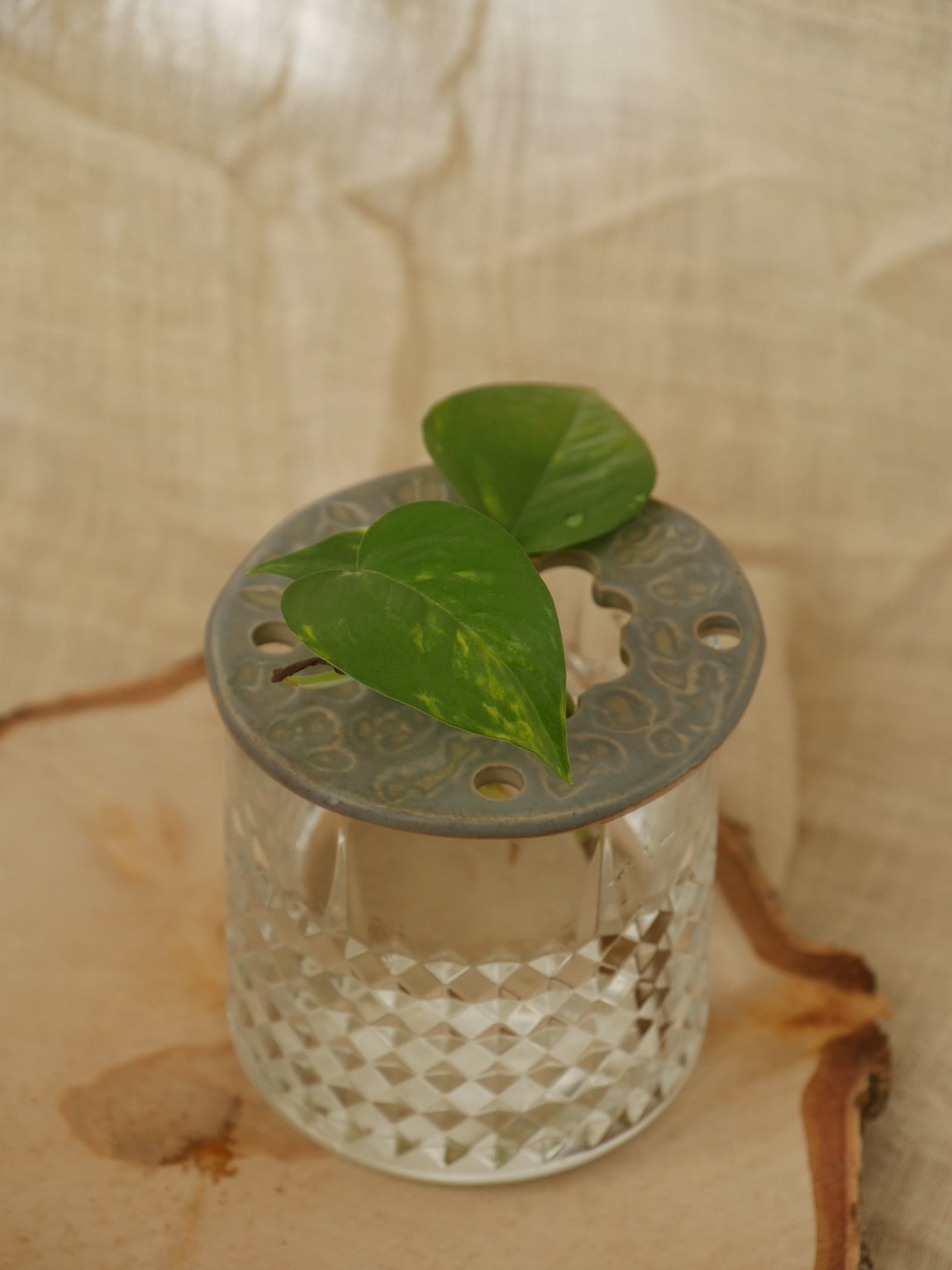 24. Bobèche - Bouton