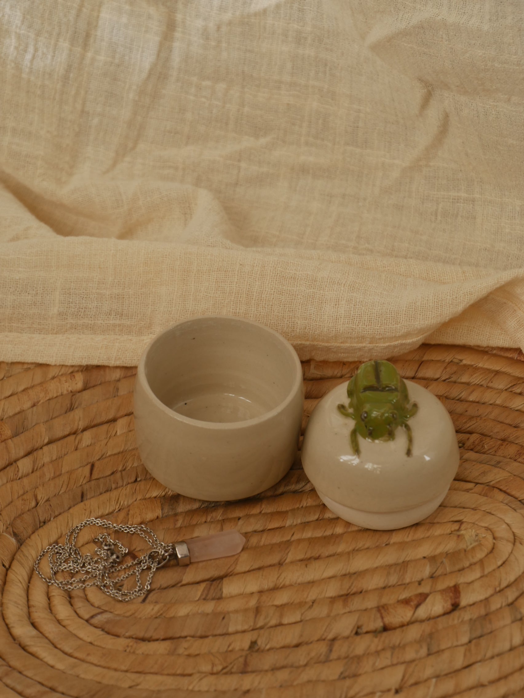 25. Boite Scarabée - Insecte