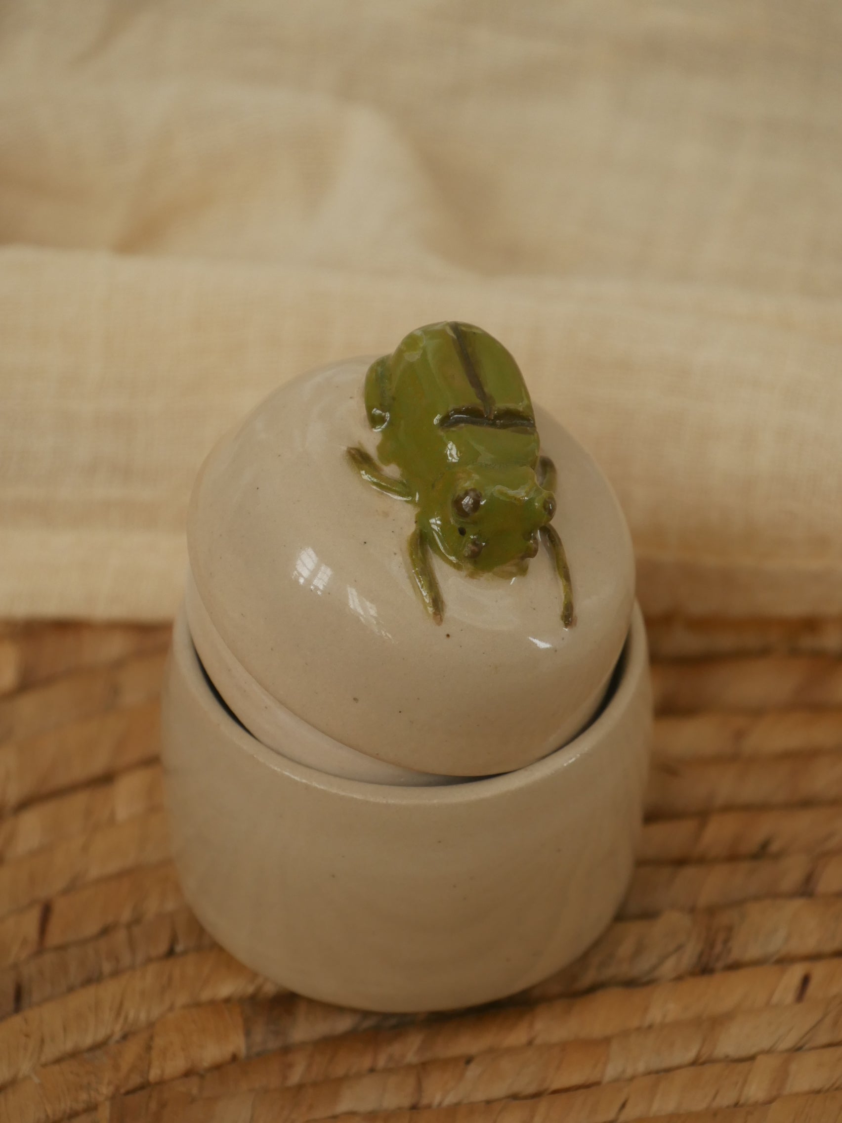 25. Boite Scarabée - Insecte