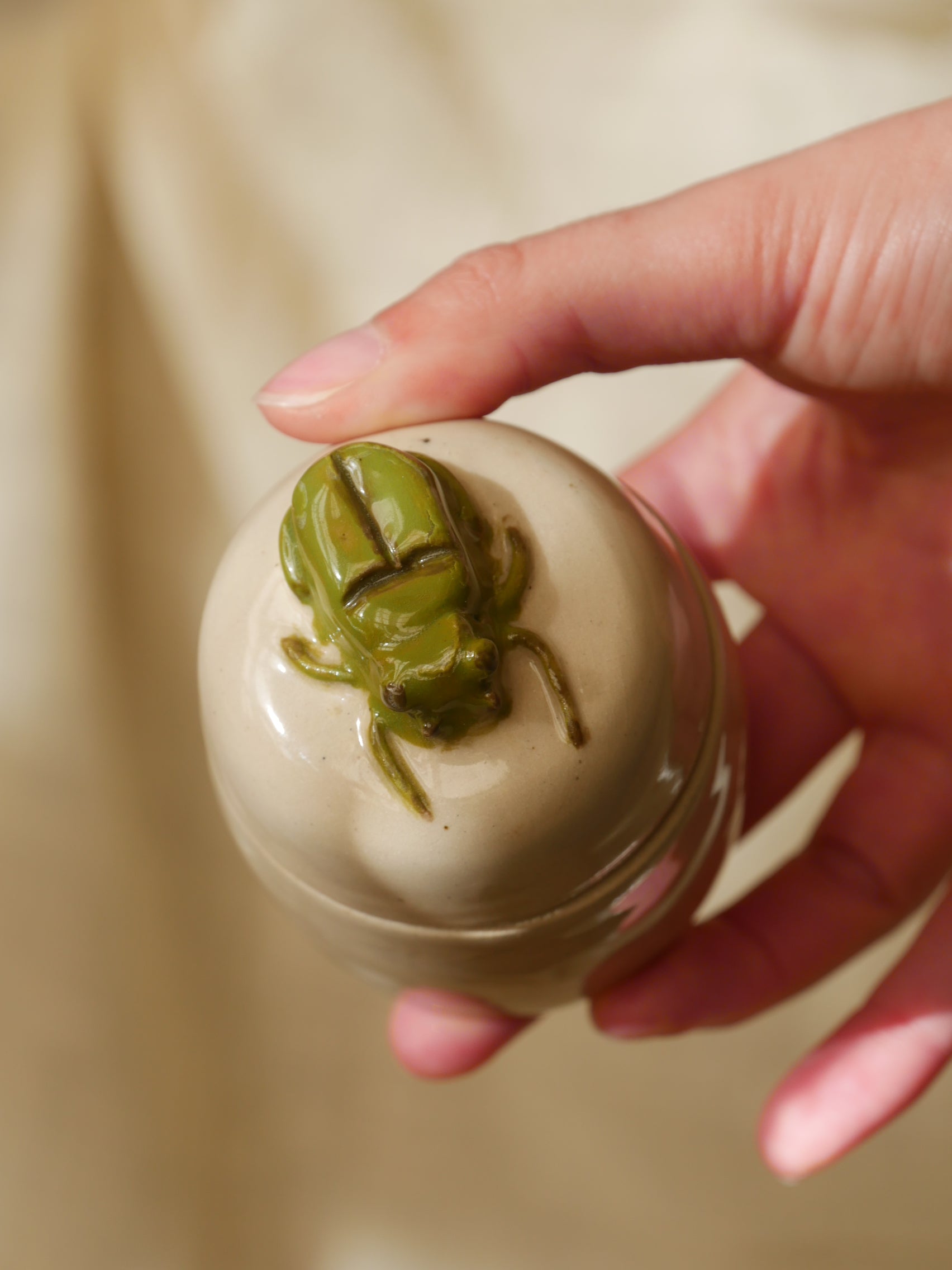 25. Boite Scarabée - Insecte