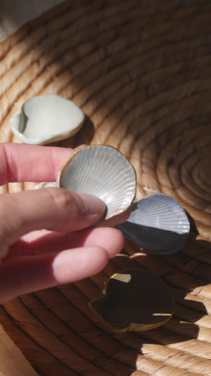 Coquillage Worry