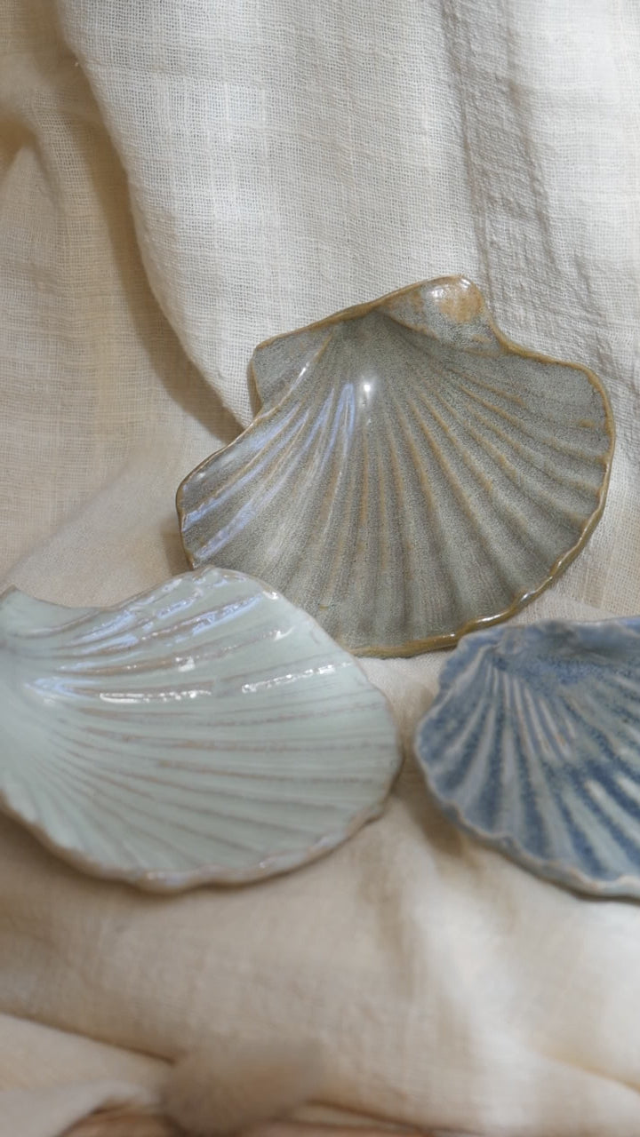 Coquillage Jacques