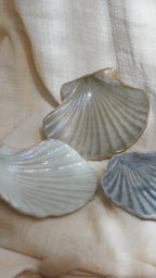 Coquillage Jacques