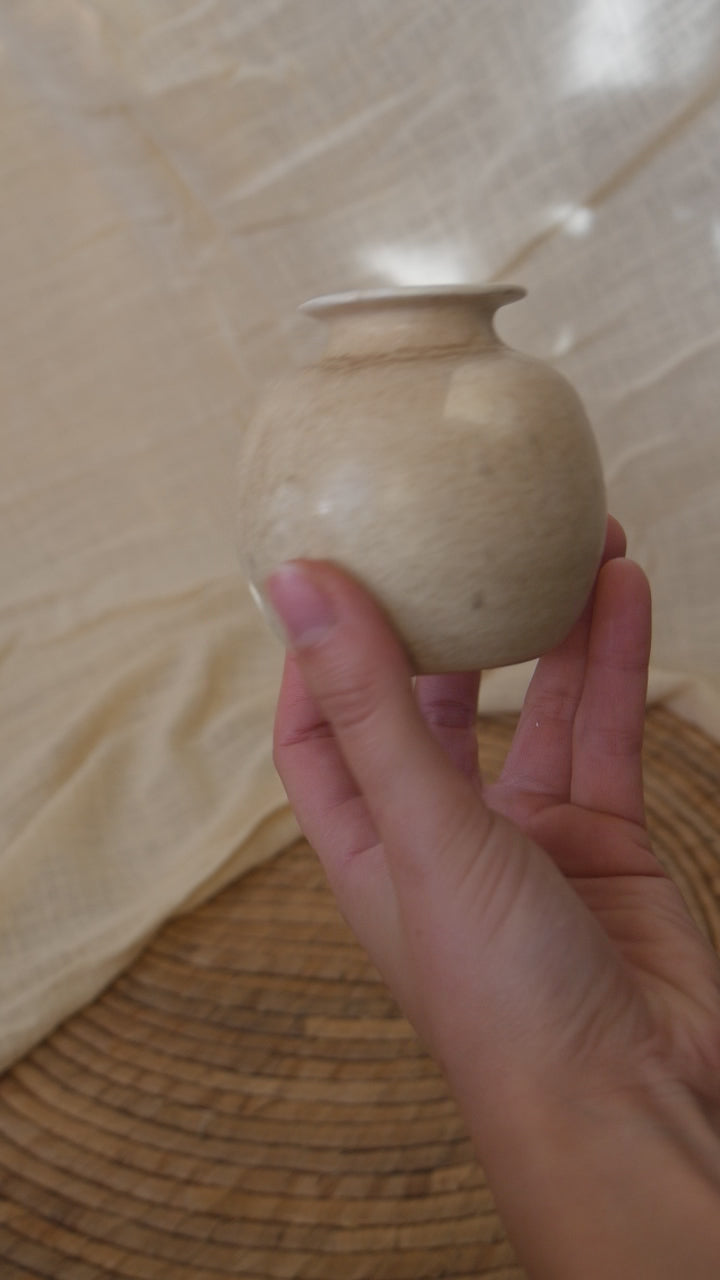 06. Soliflore Kaki - Art