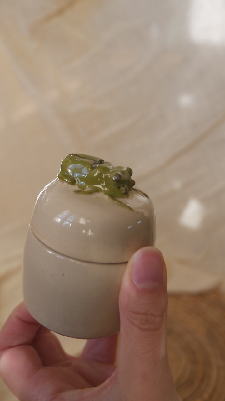 25. Boite Scarabée - Insecte