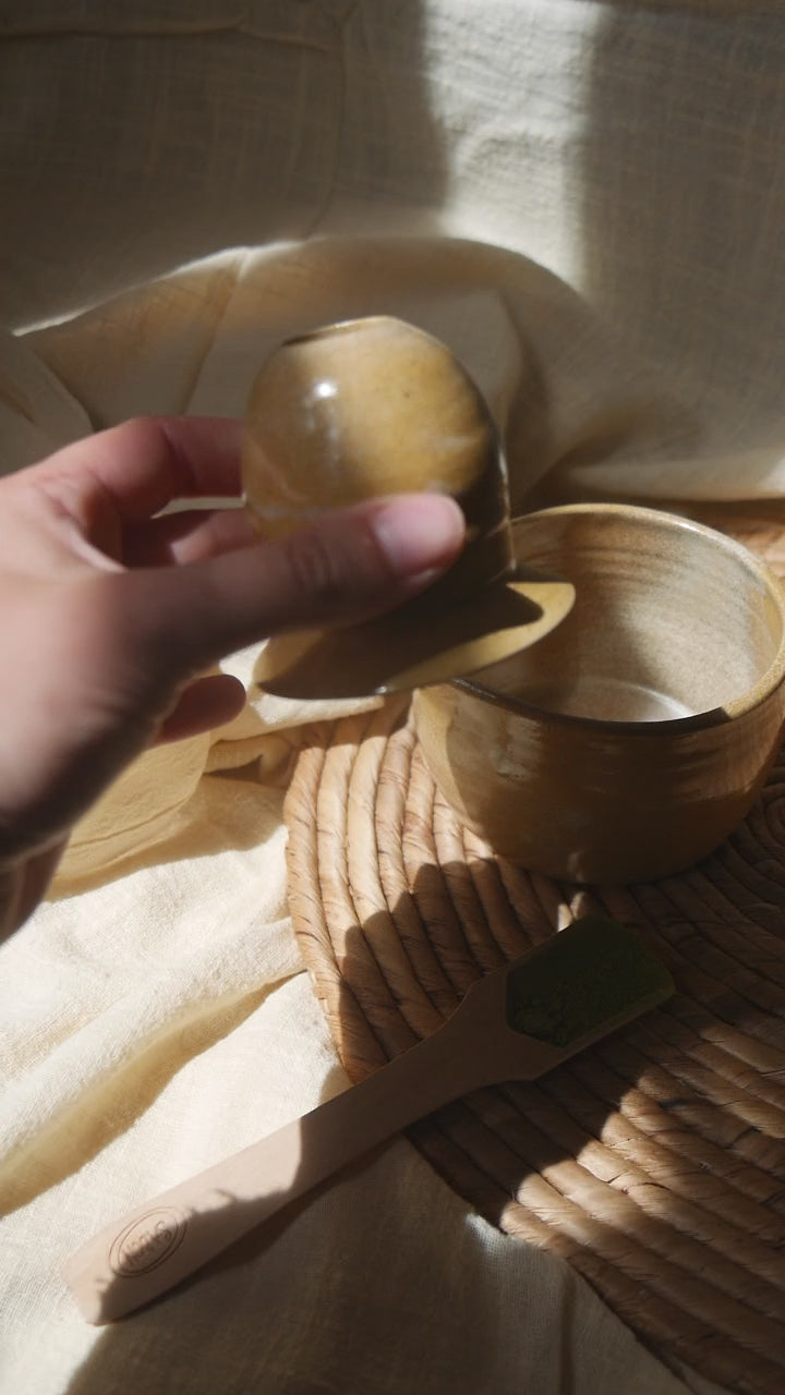Fouet à Matcha
